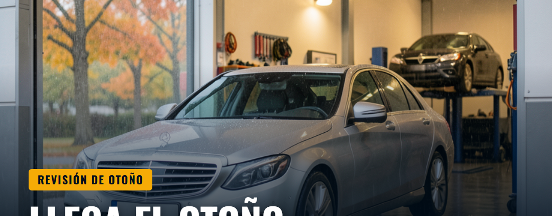 Revisión de otoño: 6 puntos clave · Talleres Mercesol, Bosch Car Service en Vélez-Málaga