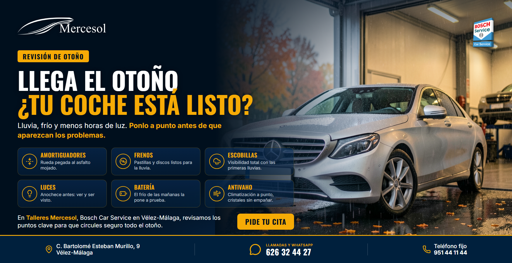 Revisión de otoño: 6 puntos clave · Talleres Mercesol, Bosch Car Service en Vélez-Málaga